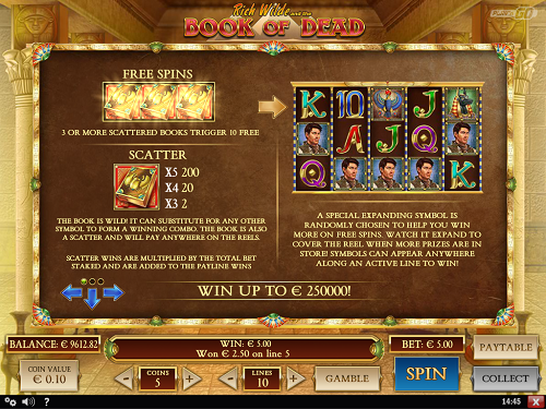 Book of Dead Video Slot